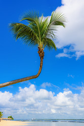 Similar image 18135823