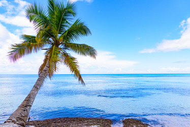 Similar image 18135889