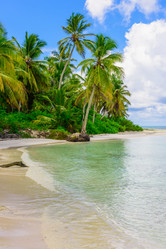 Similar image 18135924