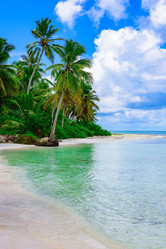 Similar image 18135944