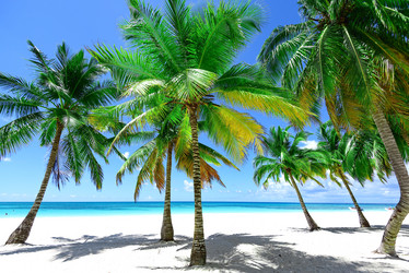 Similar image 18136016