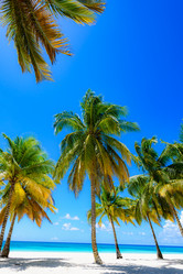 Similar image 18136048