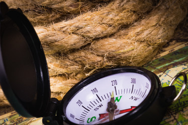 Similar image 17819542