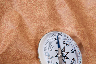 Similar image 17819926