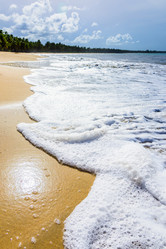 Similar image 18136082