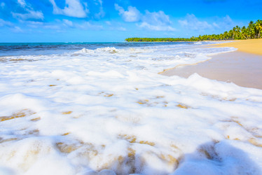 Similar image 18136120