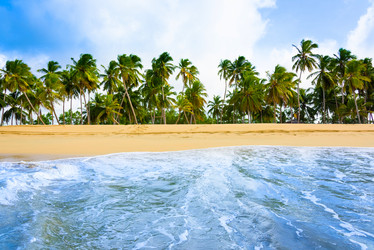 Similar image 18136175