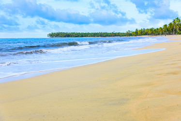 Similar image 17819371