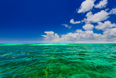 Similar image 17819635