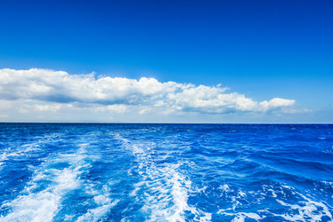 Similar image 17819640