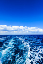 Similar image 17819622