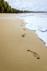 Similar image 17819625