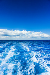 Similar image 17819673