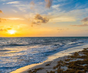 Similar image 17819696