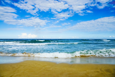 Similar image 17819784