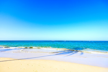 Similar image 17819786