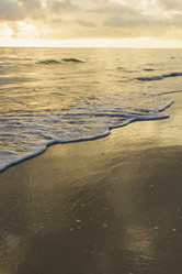 Similar image 17819840