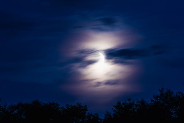 Similar image 17819855