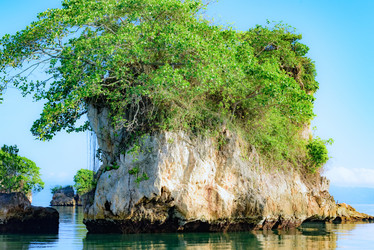 Similar image 17819897