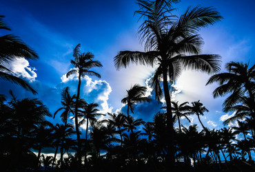 Similar image 17819898