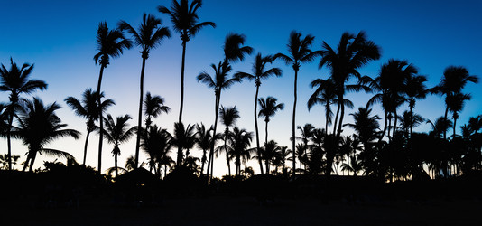 Similar image 17819977