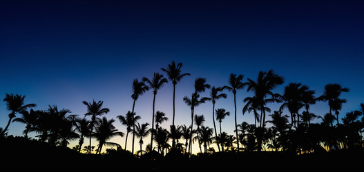 Similar image 17819979