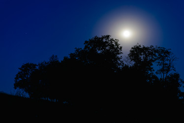 Similar image 17820053