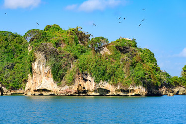 Similar image 18135651