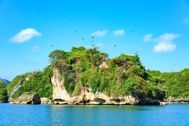 Similar image 18135653