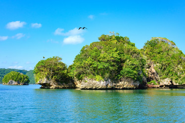 Similar image 18135685