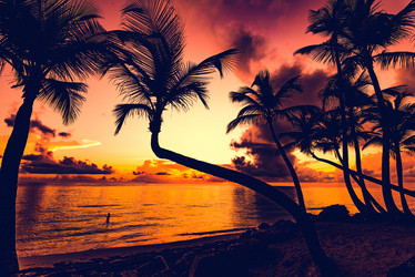 Similar image 18135726