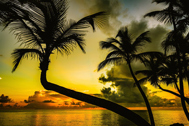 Similar image 18135717