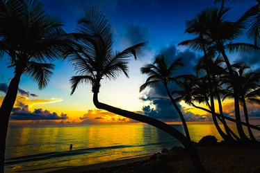 Similar image 18135729