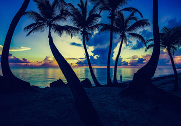 Similar image 18135755