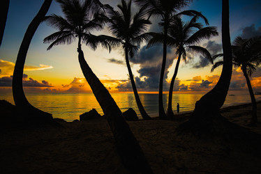 Similar image 18135832