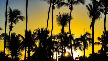 Similar image 18135883