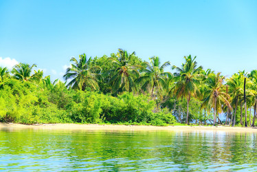 Similar image 18135964