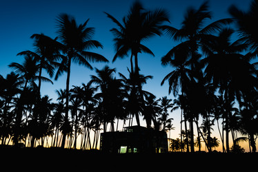 Similar image 18136182