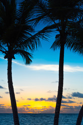 Similar image 17819263