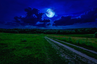 Similar image 17819404