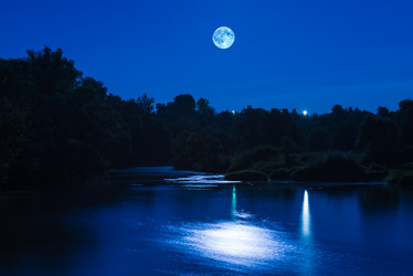 Similar image 17819419