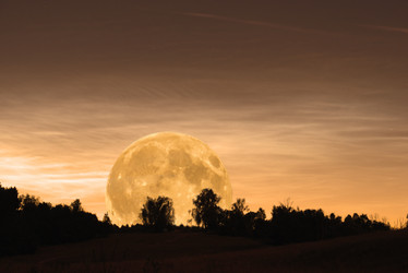 Similar image 17819440