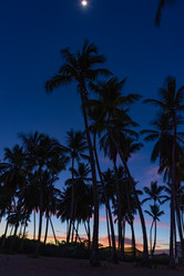 Similar image 17819460