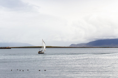 Similar image 17818264