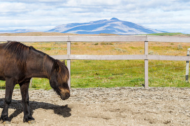 Similar image 17818525