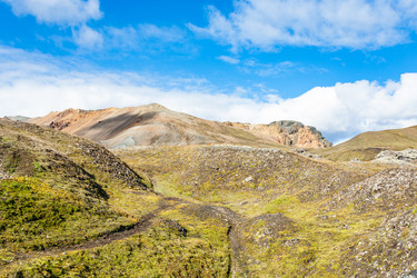 Similar image 17818220