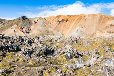 Similar image 17818528