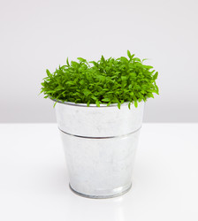 Similar image 18144603