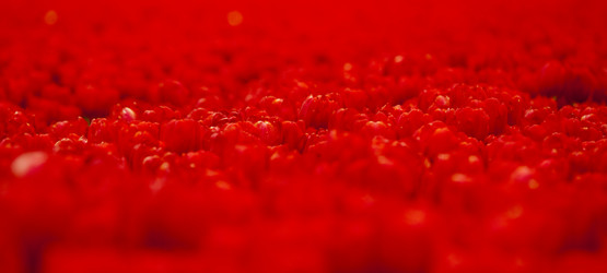 Similar image 18143822