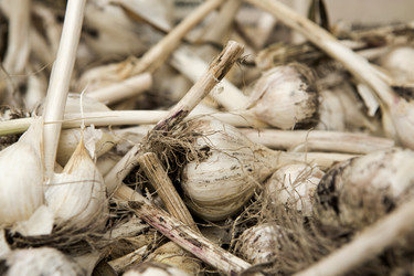 Similar image 18143515